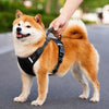Vest-Style Dog Harness with Round Leash