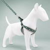 Small Dog Vest Harness for Everyday Walks