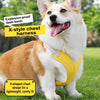 X-Style Dog Harness with Reflective Rope Leash