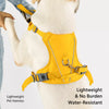 Lightweight Nylon Dog Harness and Leash Set