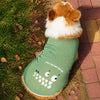 Lightweight Summer Dog Vest for Everyday Outings