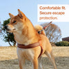 Vest-Style Dog Harness and Leash for Small to Medium Dogs