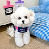 Denim-Style Nylon Harness and Leash for Cats and Small Dogs
