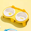 Ceramic Double Cat Bowl Set with Stand for Food & Water