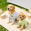 Mesh Four-Leg Dog Outfit