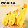 Plush Squeaky Pet Toy with Playful Animal Designs