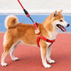 Adjustable Dog Harness Vest