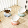 Elevated Ceramic Cat Bowl