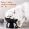 Ceramic Angled Elevated Bowl for Cats and Dogs