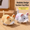 Interactive Electronic Mouse Cat Toy with Sound