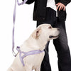 Nylon Dog Harness for Everyday Walks