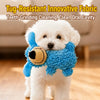 Squeaky Mop Dog Toy