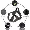 Adjustable Nylon Dog Harness with Leash