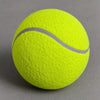 Small Nylon Tennis Ball-Style Dog Toy