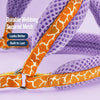 Small Dog Vest Harness for Everyday Walks