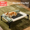 Elevated Cat & Dog Cot with Mesh Surface and Detachable Cushion