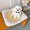Waterproof Pet Mat