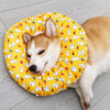 Soft Waterproof Recovery Collar for Dogs