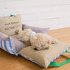 Car Pet Bed with Removable Cover and Seat Belt Strap