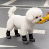 Outdoor Performance Fabric Dog Boots for Small to Medium Dogs