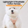 H-Style Vest Harness with Leash for Dogs 3¨C50 lb