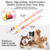 Dog Car Safety Harness with Seat Belt Clip