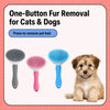 Self-Cleaning Pin Brush for Dogs and Cats