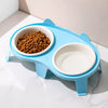 Ceramic Double Cat Bowl Set with Stand for Food & Water