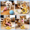 Dog Chew Toys for Play and Puppy Teething
