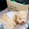 Car Pet Bed with Removable Cover and Seat Belt Strap