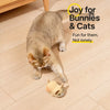 Interactive Electronic Mouse Cat Toy with Sound