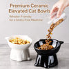 Ceramic Angled Elevated Bowl for Cats and Dogs