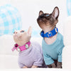 Faux Leather Collar with Gemstone-Inspired Detail for Dogs and Cats