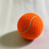 Small Nylon Tennis Ball-Style Dog Toy