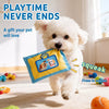 Treat-Hiding Tissue Box Snuffle Toy for Dogs