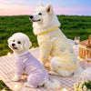 Mesh Four-Leg Dog Outfit