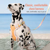 H-Style Polyester Dog Harness and Leash Set