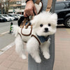 Pet Carrier Shoulder Bag for Small Dogs and Cats