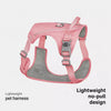 Lightweight Nylon Dog Harness and Leash Set