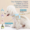 Y-Shaped Dog Harness for Small to Medium Dogs