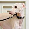 Rhinestone Faux Leather Pet Collar & Leash for Small Dogs & Cats