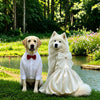 Formal One-Piece Dog Dress for Medium and Large Dogs