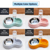 Double Pet Bowl with Water Dispenser for Dogs and Cats