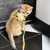 Kitten H-Style Harness and Leash Set