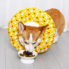 Soft Waterproof Recovery Collar for Dogs