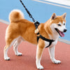 Adjustable Dog Harness Vest