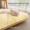 Removable Washable Pet Mat for Dogs and Cats