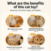 Rechargeable Interactive Cat Toy with Teaser Wand and Hideaway Cover