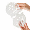 Clear Plastic Cat Cone for Grooming and Care