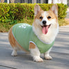 Lightweight Summer Dog Vest for Everyday Outings